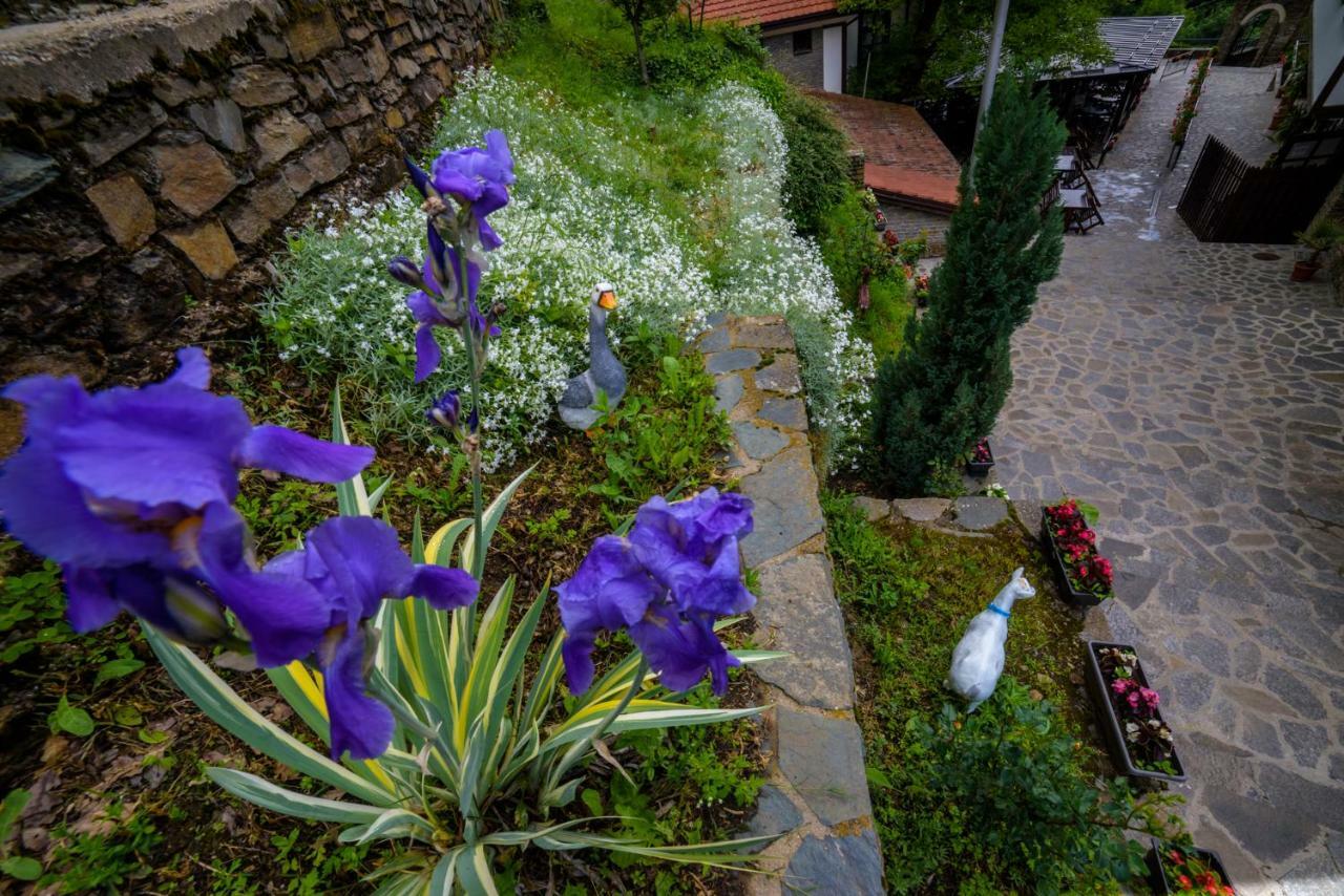 Hotel Manastir Sv. Joakim Osogovski Kriva Palanka Exterior foto